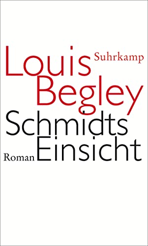 Schmidts Einsicht. Roman